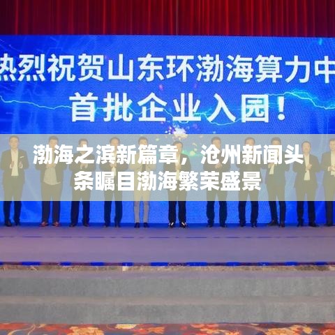 渤海之濱新篇章，滄州新聞頭條矚目渤海繁榮盛景