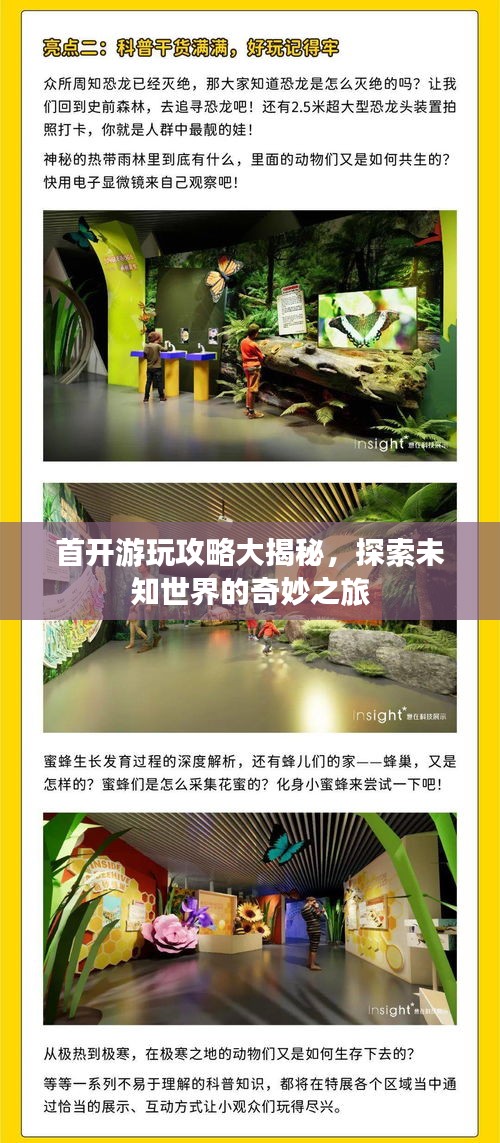 首開游玩攻略大揭秘，探索未知世界的奇妙之旅