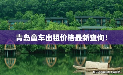 青島童車出租價格最新查詢！