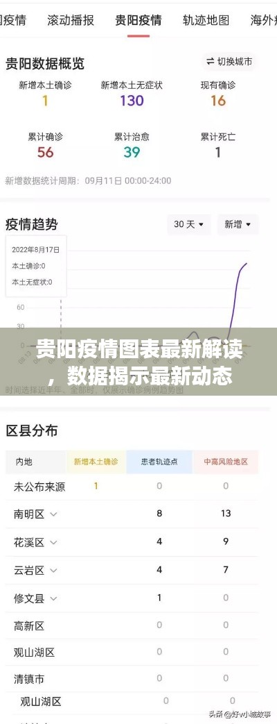 貴陽(yáng)疫情圖表最新解讀，數(shù)據(jù)揭示最新動(dòng)態(tài)