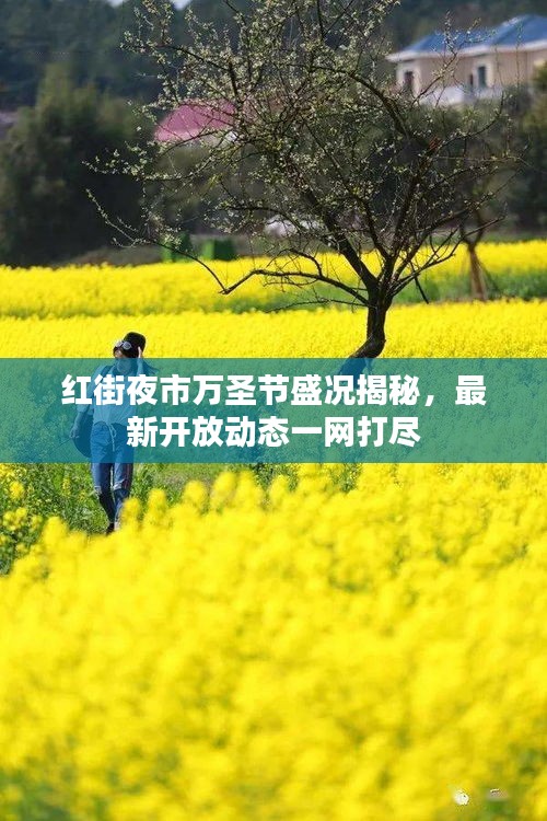 紅街夜市萬圣節(jié)盛況揭秘，最新開放動(dòng)態(tài)一網(wǎng)打盡