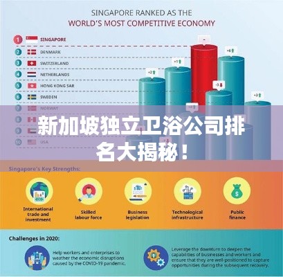 新加坡獨(dú)立衛(wèi)浴公司排名大揭秘！