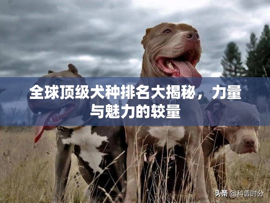 死而后已 第2頁