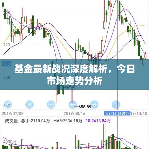 基金最新戰(zhàn)況深度解析，今日市場走勢分析