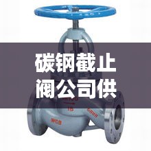 碳鋼截止閥公司供應(yīng)排名榜單揭曉！
