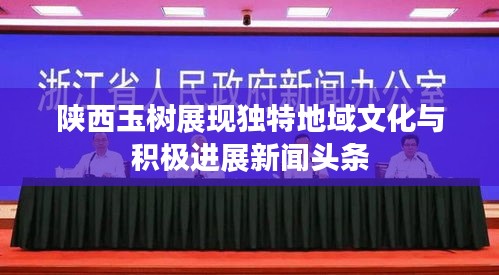 陜西玉樹展現(xiàn)獨(dú)特地域文化與積極進(jìn)展新聞頭條