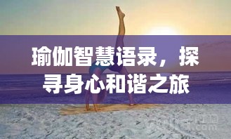 產(chǎn)品展示 第133頁