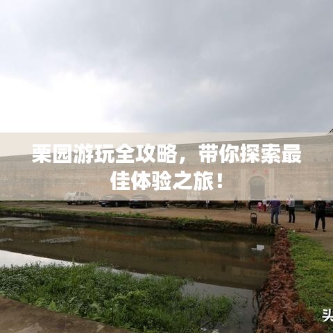 栗園游玩全攻略，帶你探索最佳體驗(yàn)之旅！