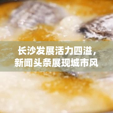 長沙發(fā)展活力四溢，新聞頭條展現(xiàn)城市風(fēng)采