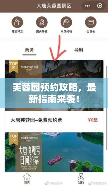 芙蓉園預(yù)約攻略，最新指南來襲！