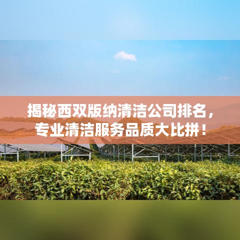 揭秘西雙版納清潔公司排名，專業(yè)清潔服務(wù)品質(zhì)大比拼！