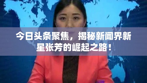 今日頭條聚焦，揭秘新聞界新星張芳的崛起之路！