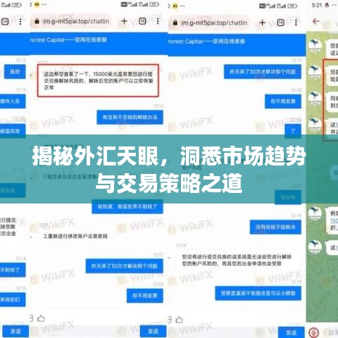 揭秘外匯天眼，洞悉市場趨勢與交易策略之道