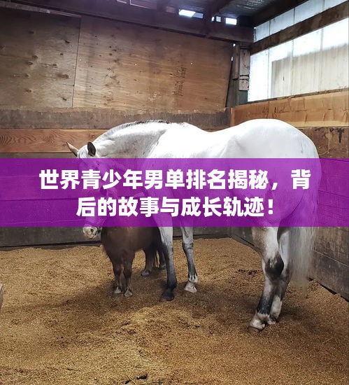 世界青少年男單排名揭秘，背后的故事與成長(zhǎng)軌跡！