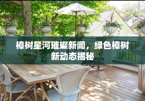樟樹星河璀璨新聞，綠色樟樹新動態(tài)揭秘