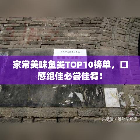 家常美味魚(yú)類TOP10榜單，口感絕佳必嘗佳肴！