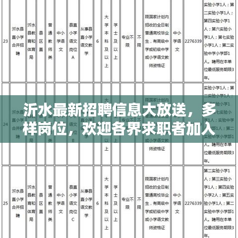 沂水最新招聘信息大放送，多樣崗位，歡迎各界求職者加入，年齡至55歲