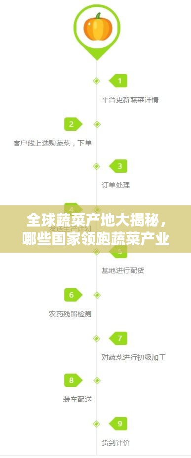 全球蔬菜產(chǎn)地大揭秘，哪些國家領跑蔬菜產(chǎn)業(yè)榜單？