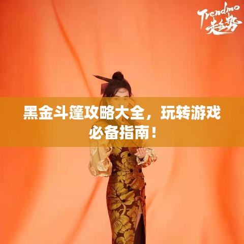 黑金斗篷攻略大全，玩轉(zhuǎn)游戲必備指南！