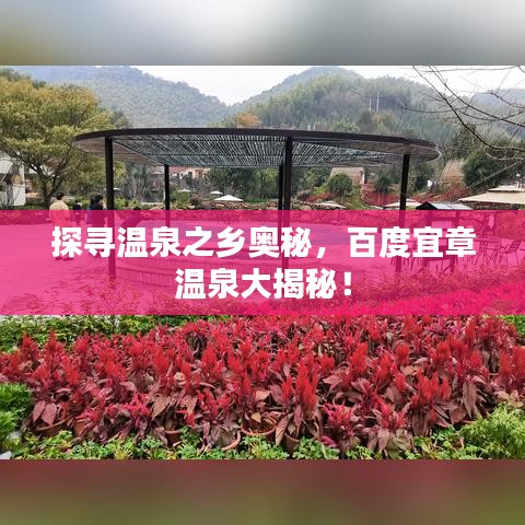 探尋溫泉之鄉(xiāng)奧秘，百度宜章溫泉大揭秘！