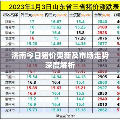 濟(jì)南今日豬價更新及市場走勢深度解析