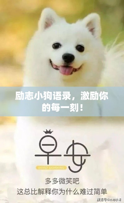 勵(lì)志小狗語(yǔ)錄，激勵(lì)你的每一刻！