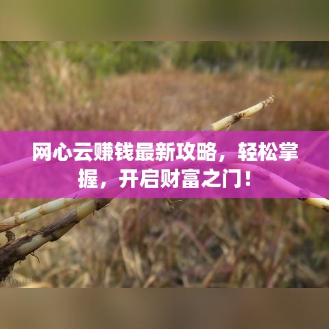 網(wǎng)心云賺錢最新攻略，輕松掌握，開啟財富之門！