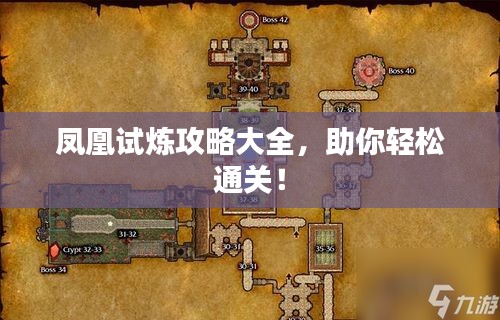 鳳凰試煉攻略大全，助你輕松通關(guān)！