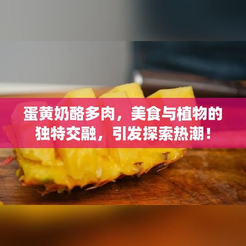 蛋黃奶酪多肉，美食與植物的獨特交融，引發(fā)探索熱潮！
