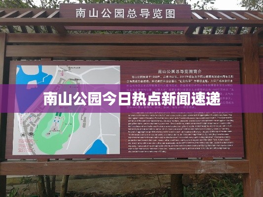 南山公園今日熱點(diǎn)新聞速遞