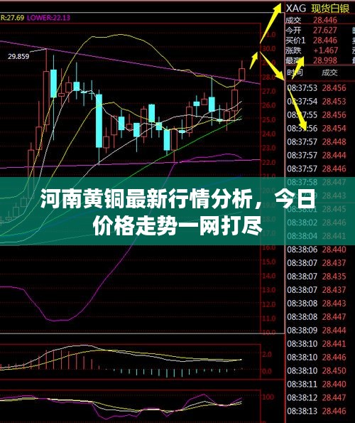 河南黃銅最新行情分析，今日價(jià)格走勢(shì)一網(wǎng)打盡