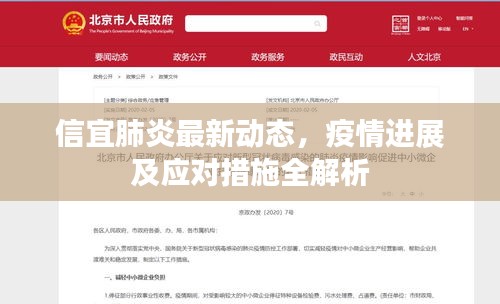 信宜肺炎最新動(dòng)態(tài)，疫情進(jìn)展及應(yīng)對(duì)措施全解析