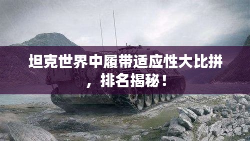 坦克世界中履帶適應(yīng)性大比拼，排名揭秘！