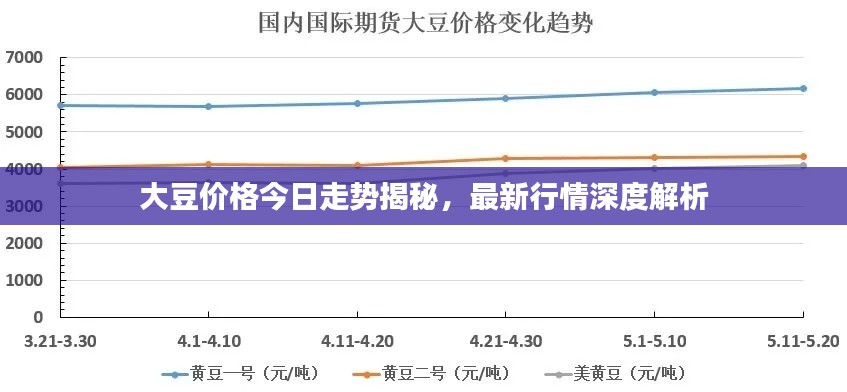 大豆價(jià)格今日走勢揭秘，最新行情深度解析