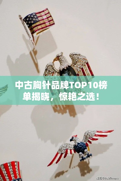 中古胸針品牌TOP10榜單揭曉，驚艷之選！
