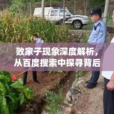 敗家子現(xiàn)象深度解析，從百度搜索中探尋背后的故事
