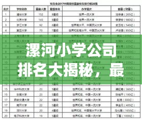 漯河小學(xué)公司排名大揭秘，最新榜單，家長(zhǎng)必看！