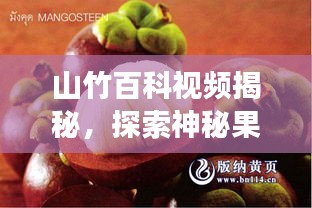 山竹百科視頻揭秘，探索神秘果實(shí)的奇妙之旅！