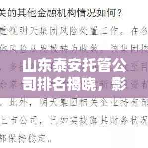 山東泰安托管公司排名揭曉，影響力深度剖析
