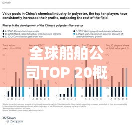 全球船舶公司TOP 20概覽，排名與實力解析