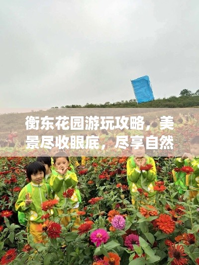 衡東花園游玩攻略，美景盡收眼底，盡享自然之旅！