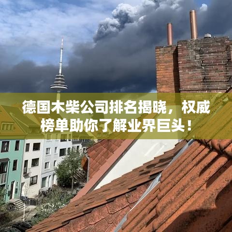 德國(guó)木柴公司排名揭曉，權(quán)威榜單助你了解業(yè)界巨頭！