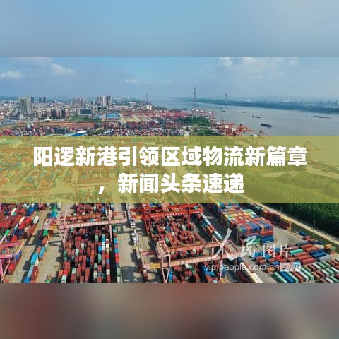 陽邏新港引領(lǐng)區(qū)域物流新篇章，新聞頭條速遞