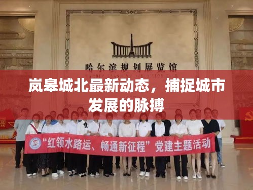 嵐皋城北最新動態(tài)，捕捉城市發(fā)展的脈搏