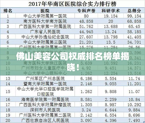 佛山美容公司權(quán)威排名榜單揭曉！