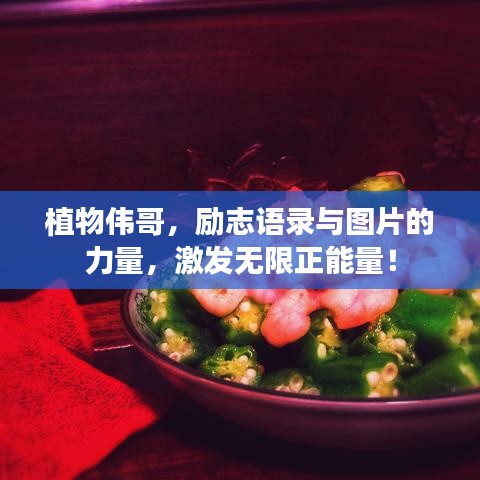 植物偉哥，勵(lì)志語錄與圖片的力量，激發(fā)無限正能量！