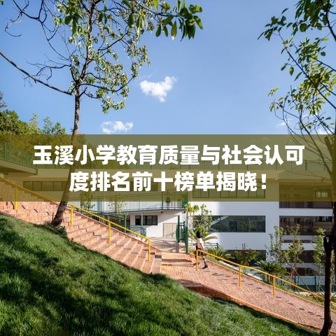 玉溪小學(xué)教育質(zhì)量與社會(huì)認(rèn)可度排名前十榜單揭曉！