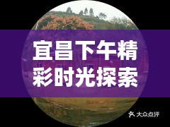 宜昌下午精彩時(shí)光探索攻略