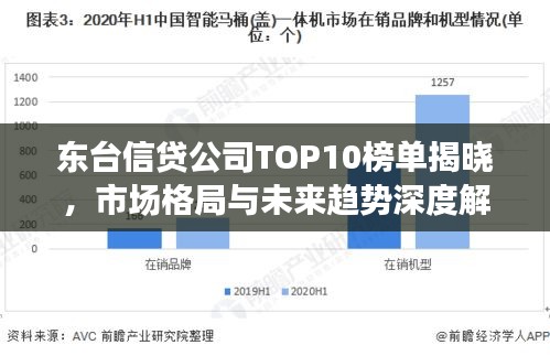 東臺信貸公司TOP10榜單揭曉，市場格局與未來趨勢深度解讀