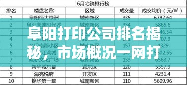 阜陽打印公司排名揭秘，市場概況一網打盡